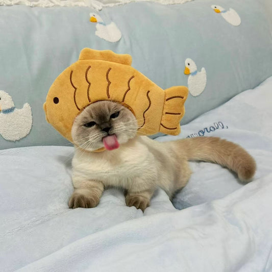 a set of outfit( clothes, shoes, bags)