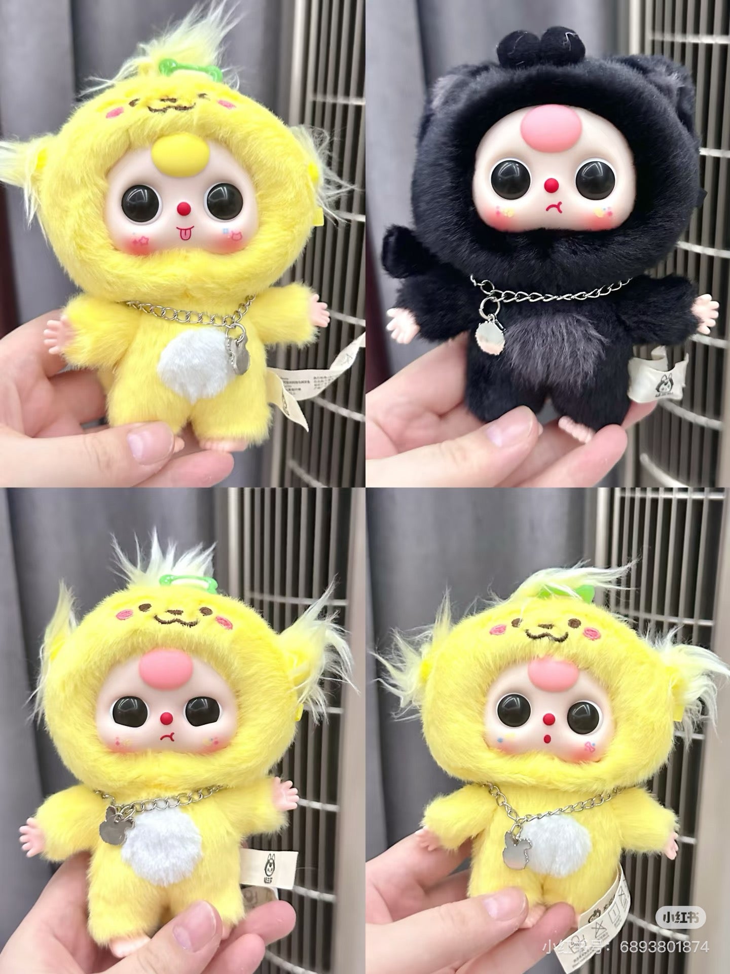 babythree cats and dogs